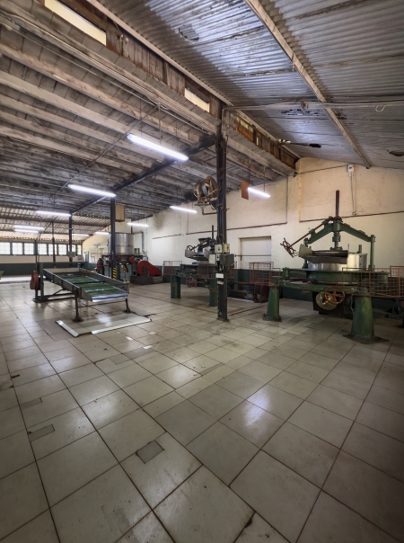 Elpitiya Tea Estate Image